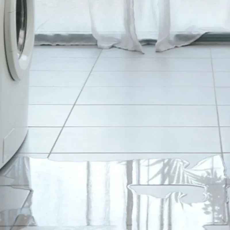 Appliance Leak Cleanup in Hickman, KY