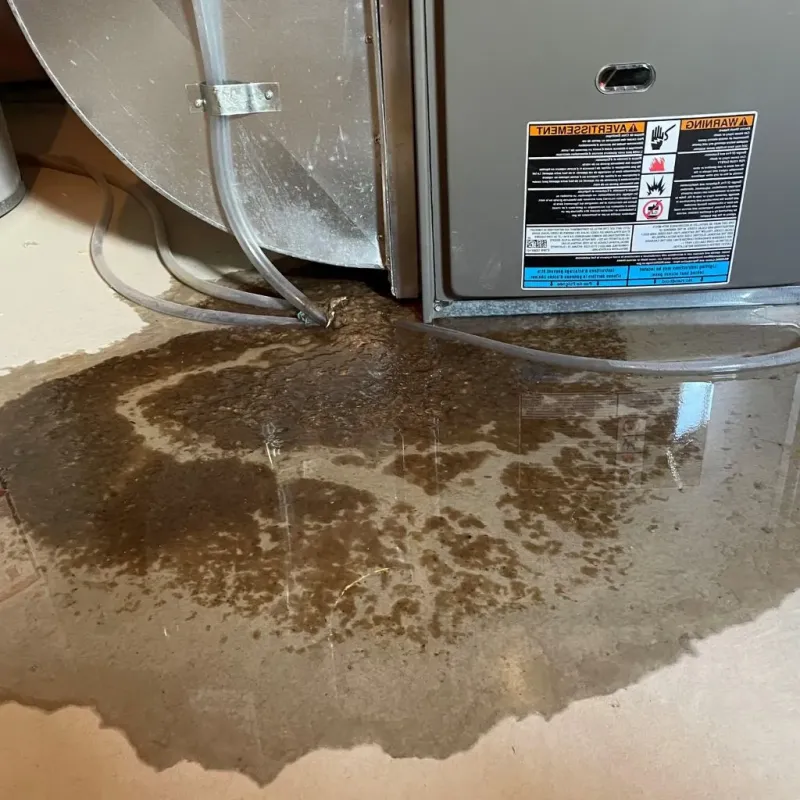 Pipe Burst and Leak Restoration in Hickman, KY