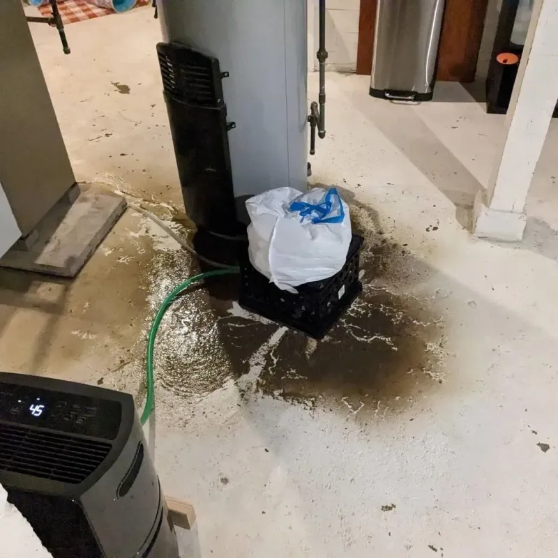 Sewage Backup Cleanup Service in Hickman, KY